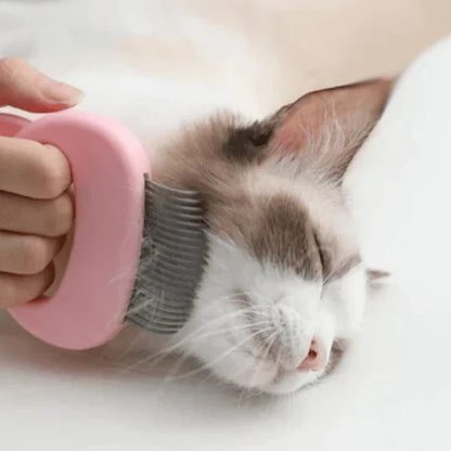 Massage and Grooming Brush for Cats