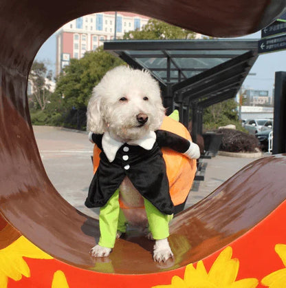 Halloween Pumpkin Costume for Dogs