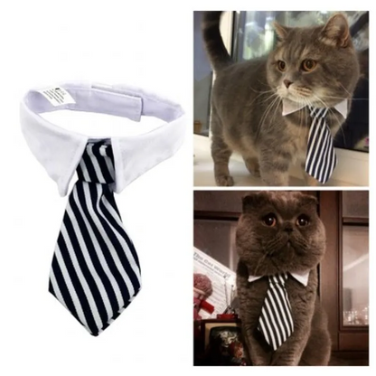 Elegant Pet Collar with Bow Tie for Dogs and Cats