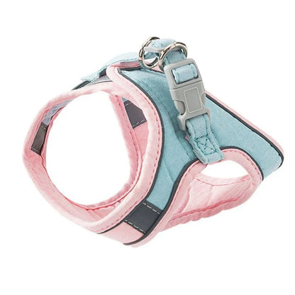 Cute Cat Harness