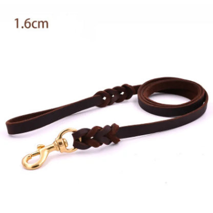 Leather Dog Lead with Gold Clip – Durable and Stylish Dog Accessory