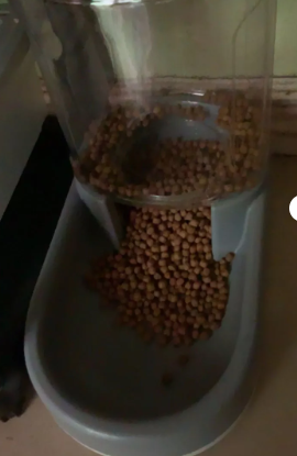 Automatic Food and Water Dispenser for Dogs and Cats - 3.8L Capacity