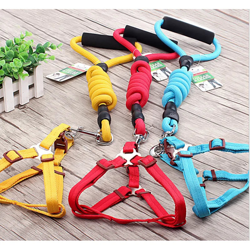 Adjustable Dog Harness with Leash in 5 Colours