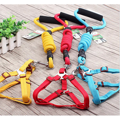 Adjustable Dog Harness with Leash in 5 Colours