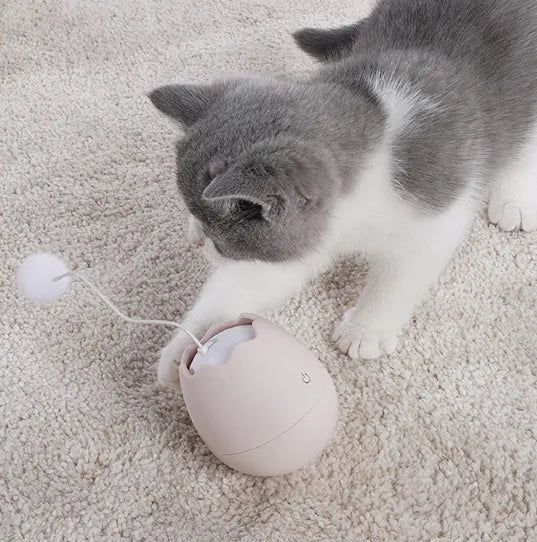 Interactive Cat Toys in the Shape of an Egg - Toy with Moving Ball for Cats
