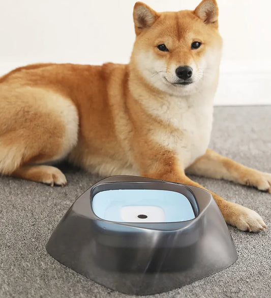 Raised Dog Bowl with Non-Slip Base