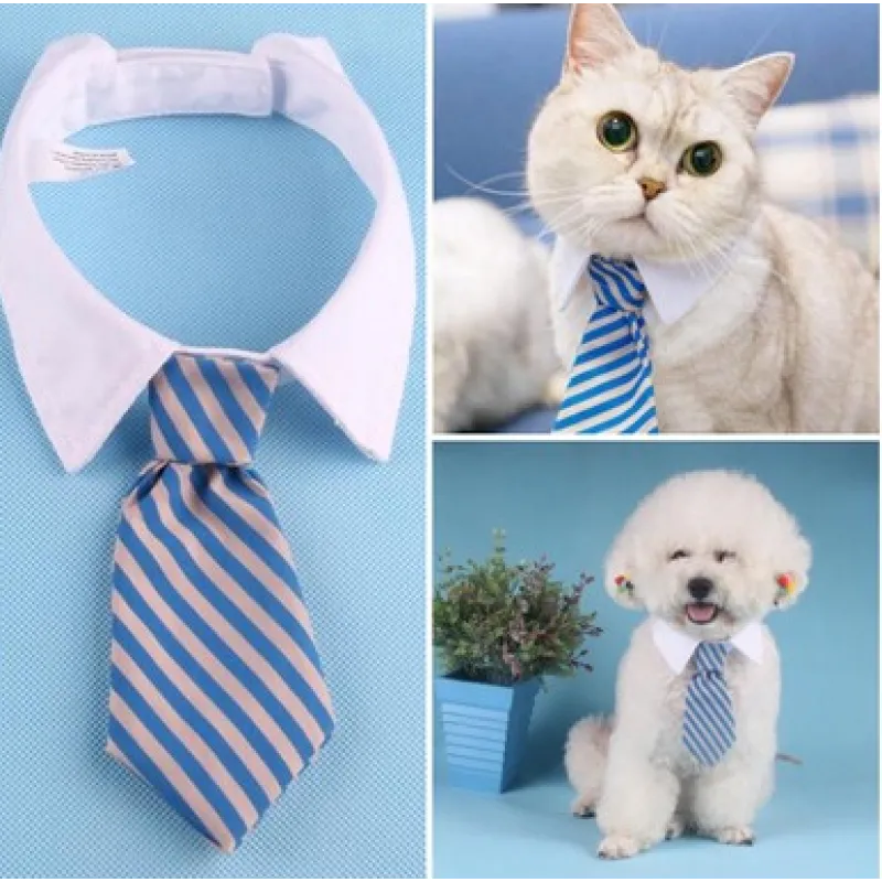 Elegant Pet Collar with Bow Tie for Dogs and Cats