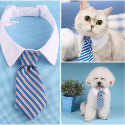 Elegant Pet Collar with Bow Tie for Dogs and Cats