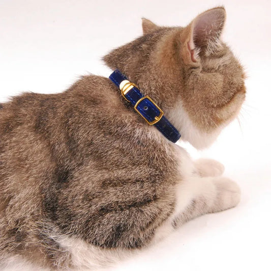 Velvet Cat Collar with Gold Buckle - Adjustable and Stylish