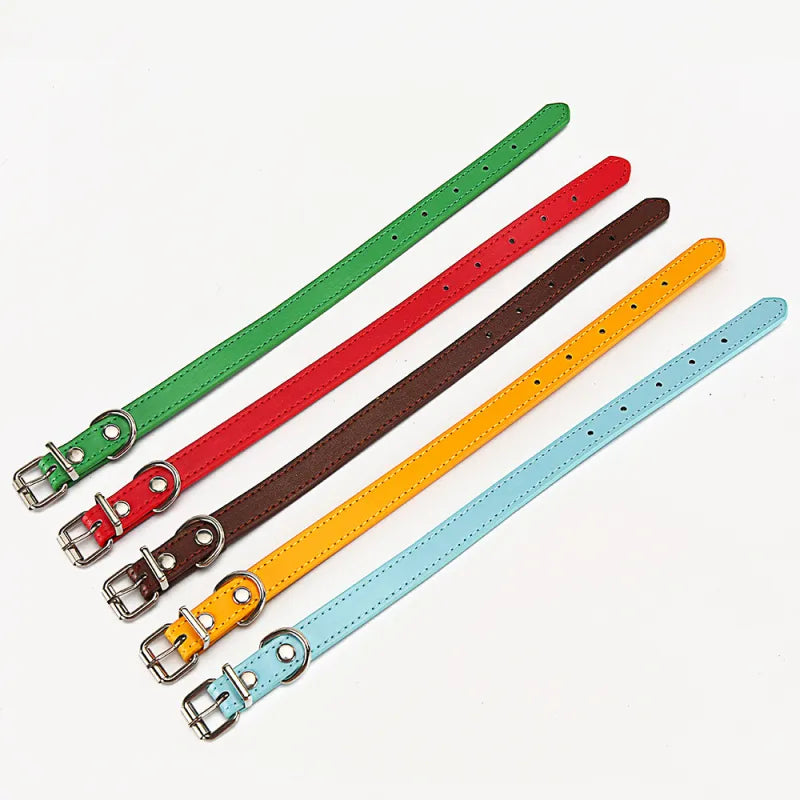 Coloured Leather Dog Collar - Adjustable and Durable
