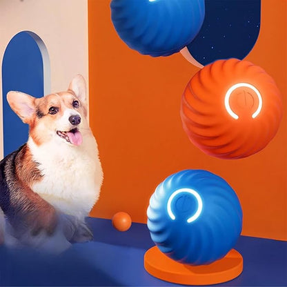 Interactive Bouncing Ball for Dogs