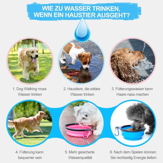 2-in-1 Portable Water and Food Bottle for Pets
