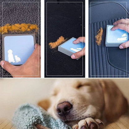 Pet Hair Removal Sponge for Furniture and Car