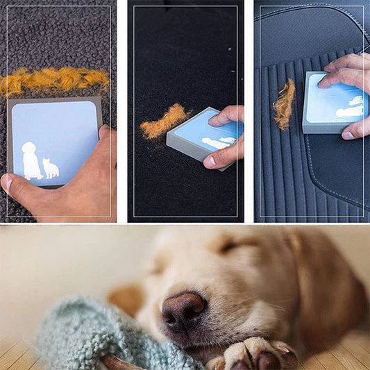 Pet Hair Removal Sponge for Furniture and Car