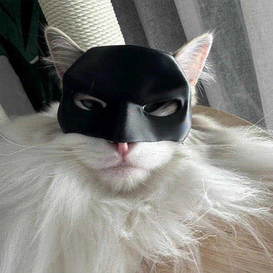 Heroic Cat Mask for Unique Appearances