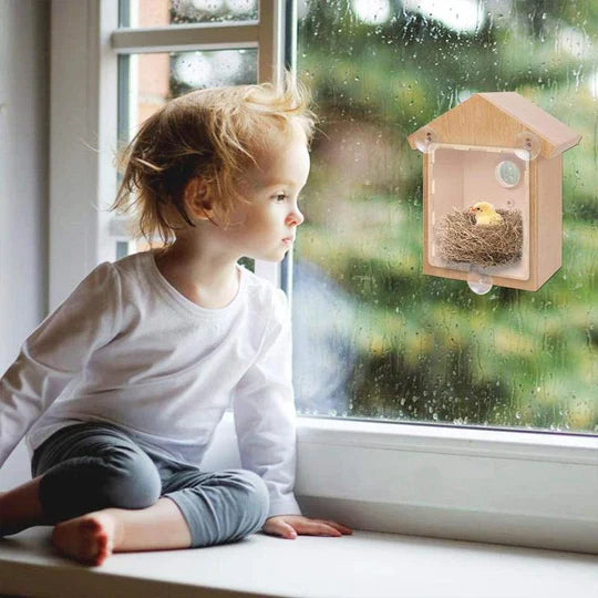 Window Bird House with Suction Cups