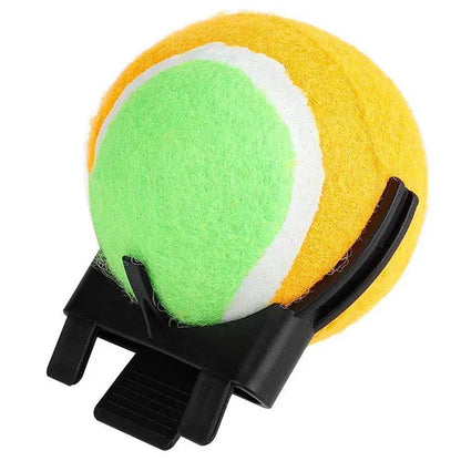 Interactive Ball Toys for Pets
