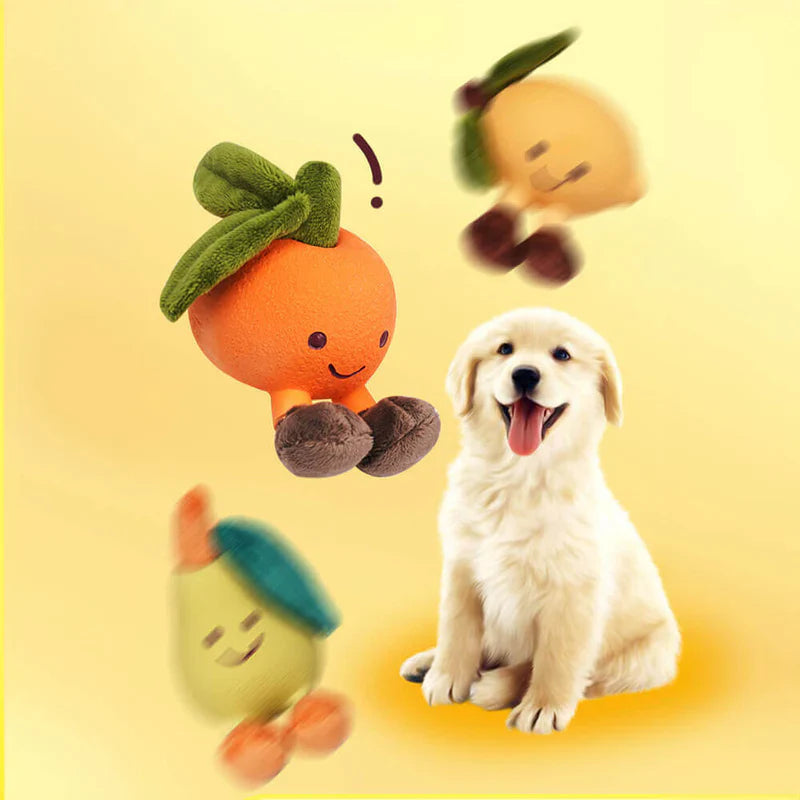 Fruity Dog Toy With Squeaker
