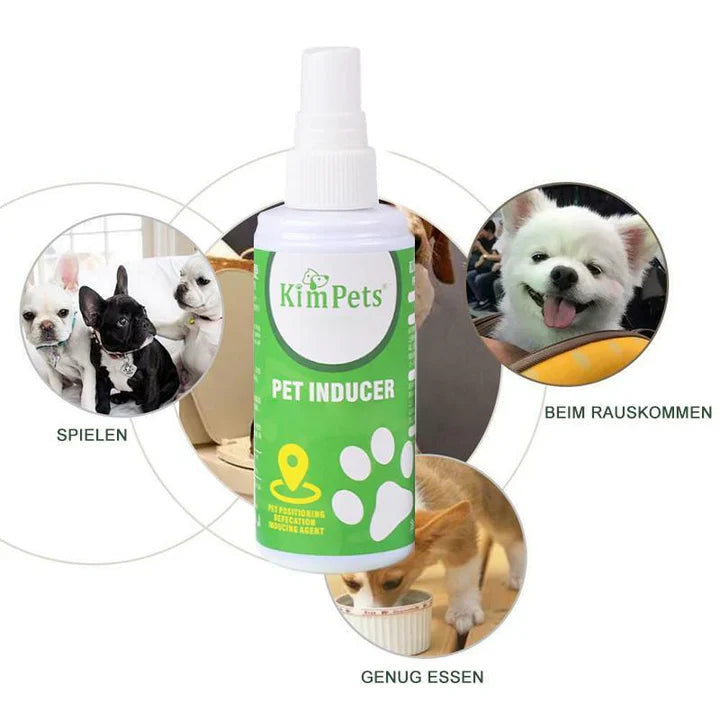 Instructions for Targeted Placement of Pet Toilets