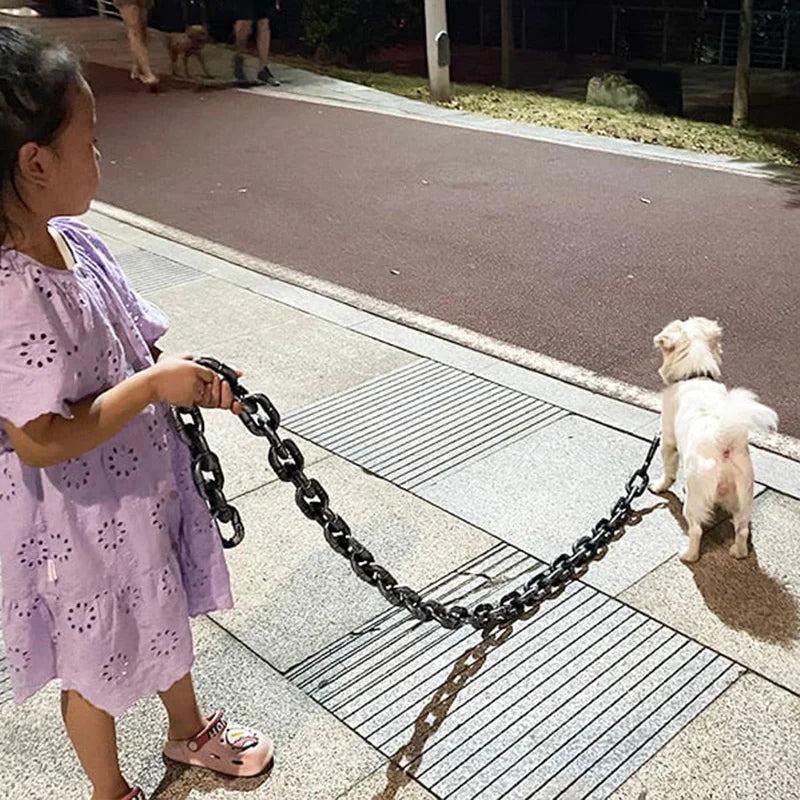 Stylish and Fun Dog Leash