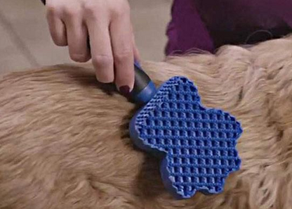 Multifunctional Silicone Dog Brush with Massage Function for Gentle Grooming