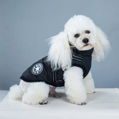 Windproof and Waterproof Dog Jacket with Integrated Harness