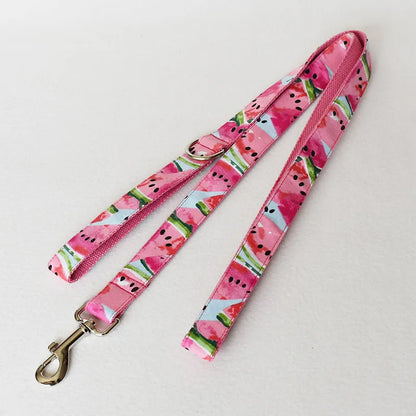 Dog Collar with Bow and Watermelon-Shaped Leash - Adjustable and Comfortable