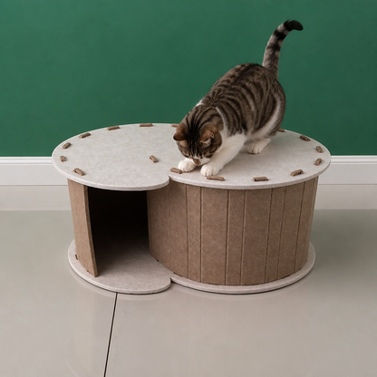 2-in-1 Interactive Play Cat Bed & Scratcher Hideaway