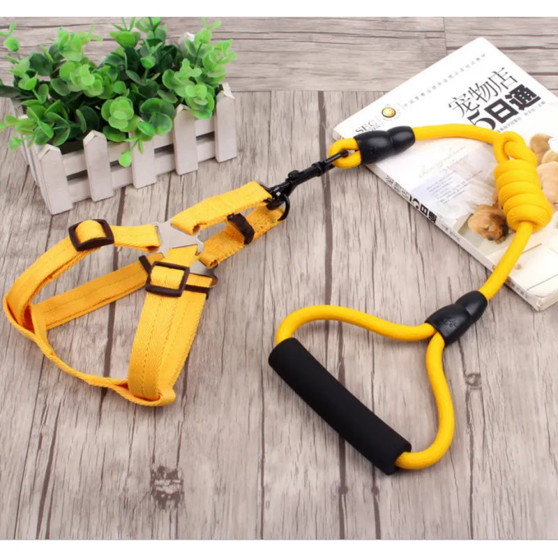 Adjustable Dog Harness with Leash in 5 Colours