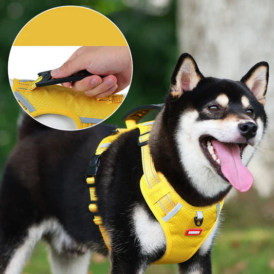 High-Quality Reflective Comfort Dog Harness