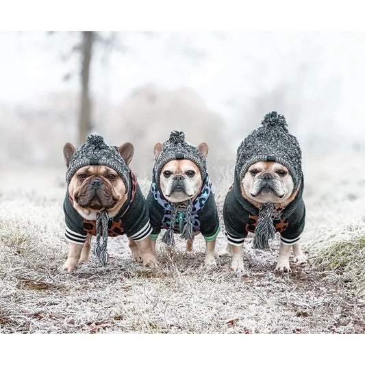 Stylish Dog Cap with Pom Pom – Warm Winter Hat for Small Dogs