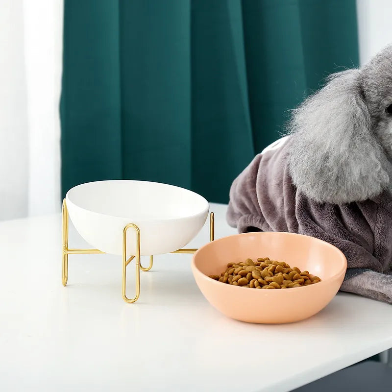 Elevated Feeder for Dogs and Cats - Elegant Design with Metal Stand