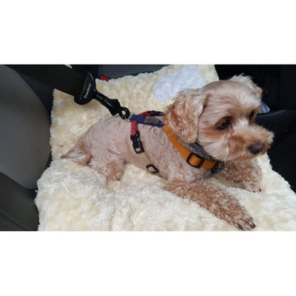 Truelove Car Dog Seat Belt Clip