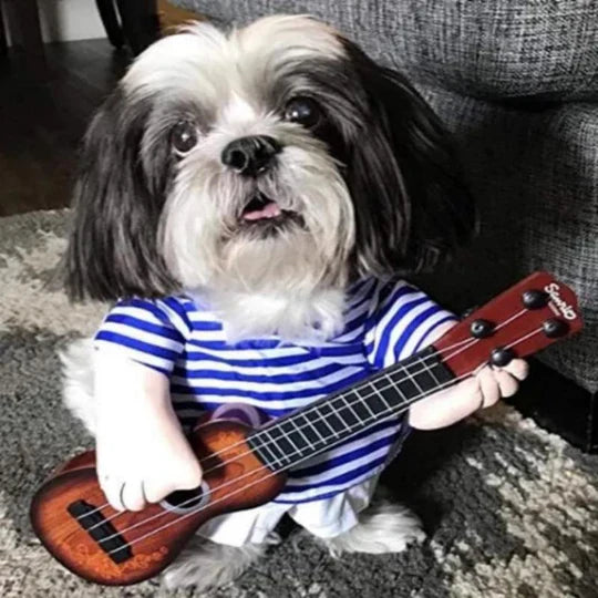 Creative Costumes for Pets