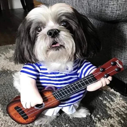 Creative Costumes for Pets