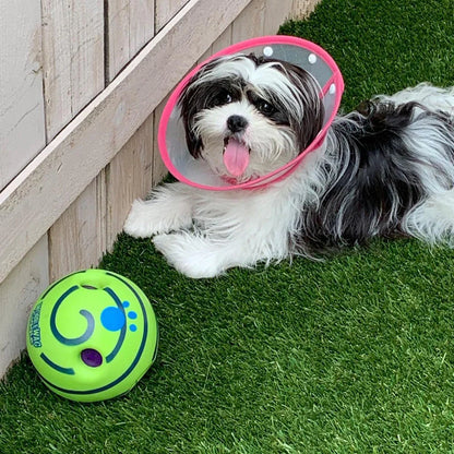 Creative Play Ball for Dogs with Interactive Functions