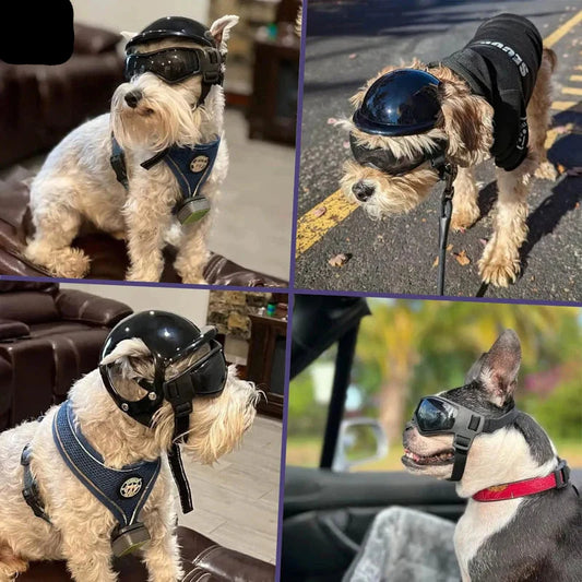 Stylish Dog Helmet with Goggles