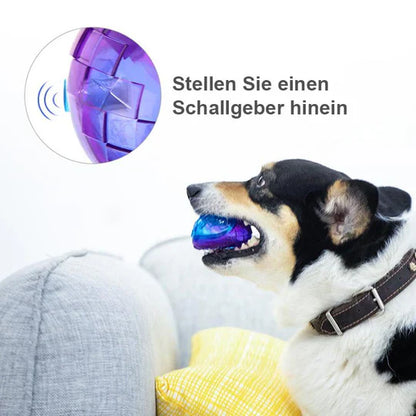 Long-Lasting Chew Ball for Dogs