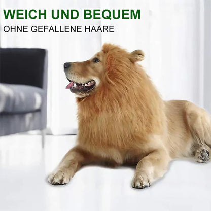 Lion Mane Dog Costume