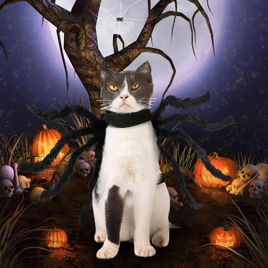 Scary Spider Costume for Pets