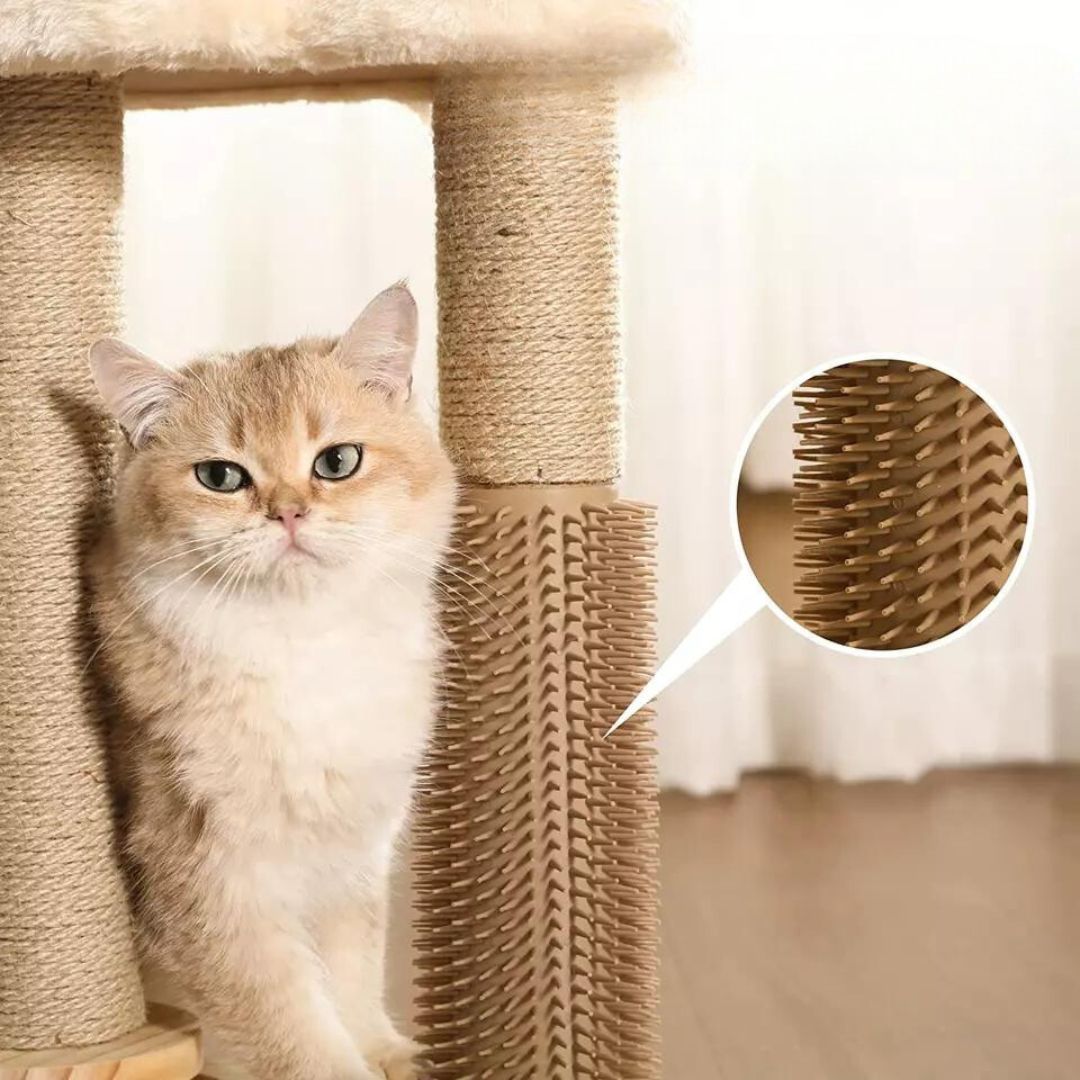 Cat Scratching and Play Lounge