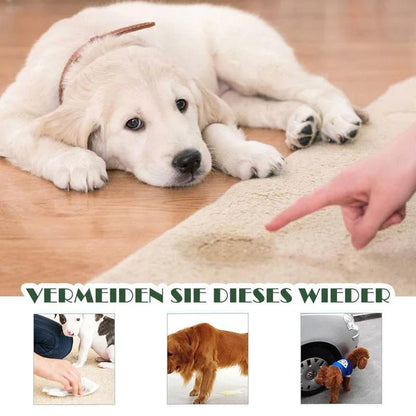 Instructions for Targeted Placement of Pet Toilets