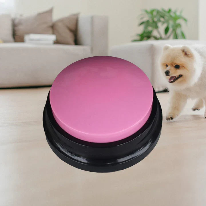 Interactive Pet Talk Button – Training & Communication