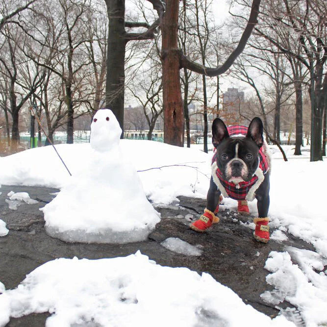 Cozy Leather-Look Winter Boots for Dogs