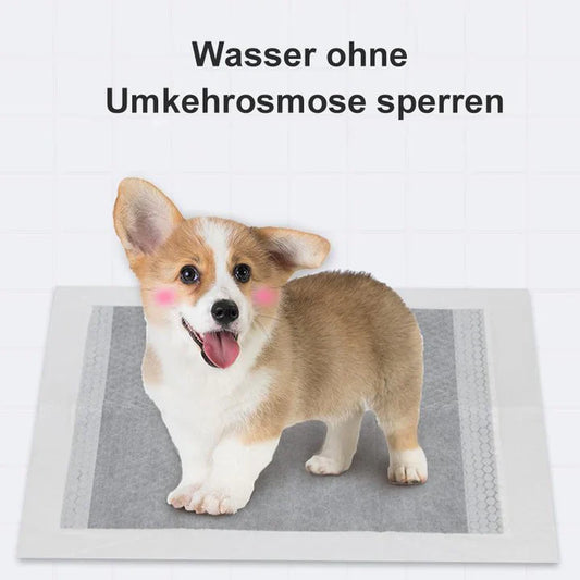 Carbon Training Pads for Pets - 50 Pcs