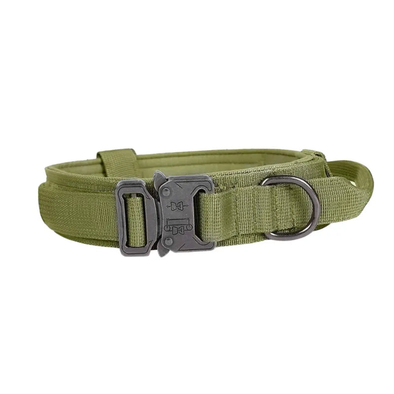 Adjustable Nylon Dog Collar with Strong Click Closure