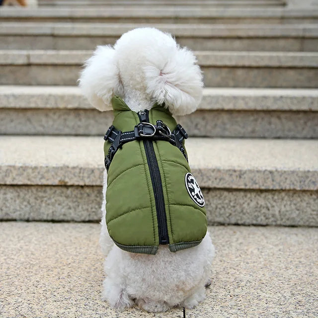 Windproof and Waterproof Dog Jacket with Integrated Harness