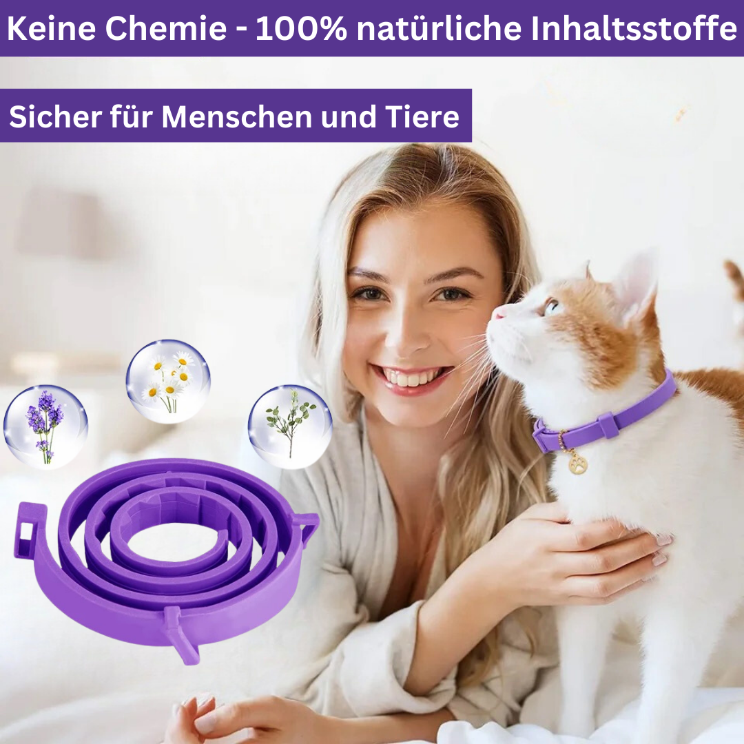 Calming Pheromone Collar