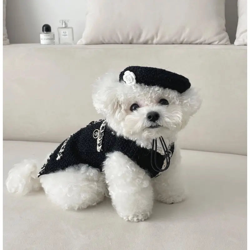 Elegant Dog Collar with a Chic Little Hat and Flower Application - Trendy Design for Your Four-Legged Companion
