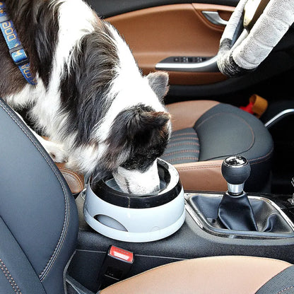 Pet Bowl - Non-Slip Base and Durable Materials